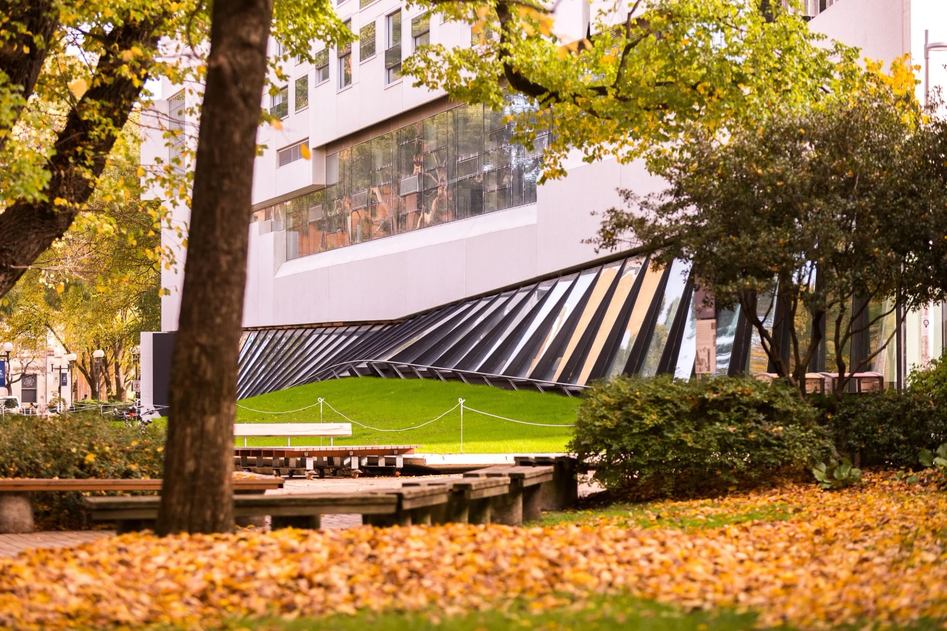 Msd Library Melbourne School of Design (MSD) – OCULUS