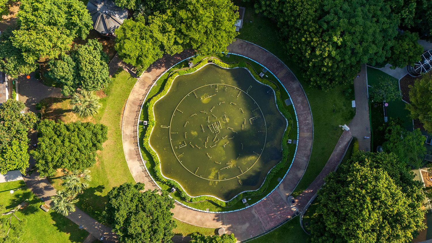 Aerial image of pond within lush botanical gardens