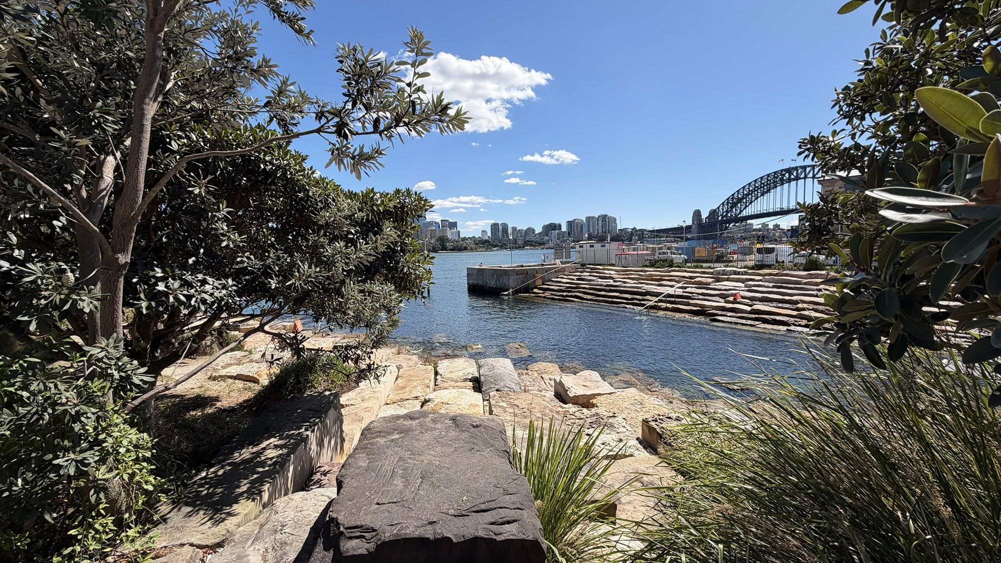 A view through the trees of a calm harbour swimming spot with blue skies and Sydney Harbour Bridge in the background.