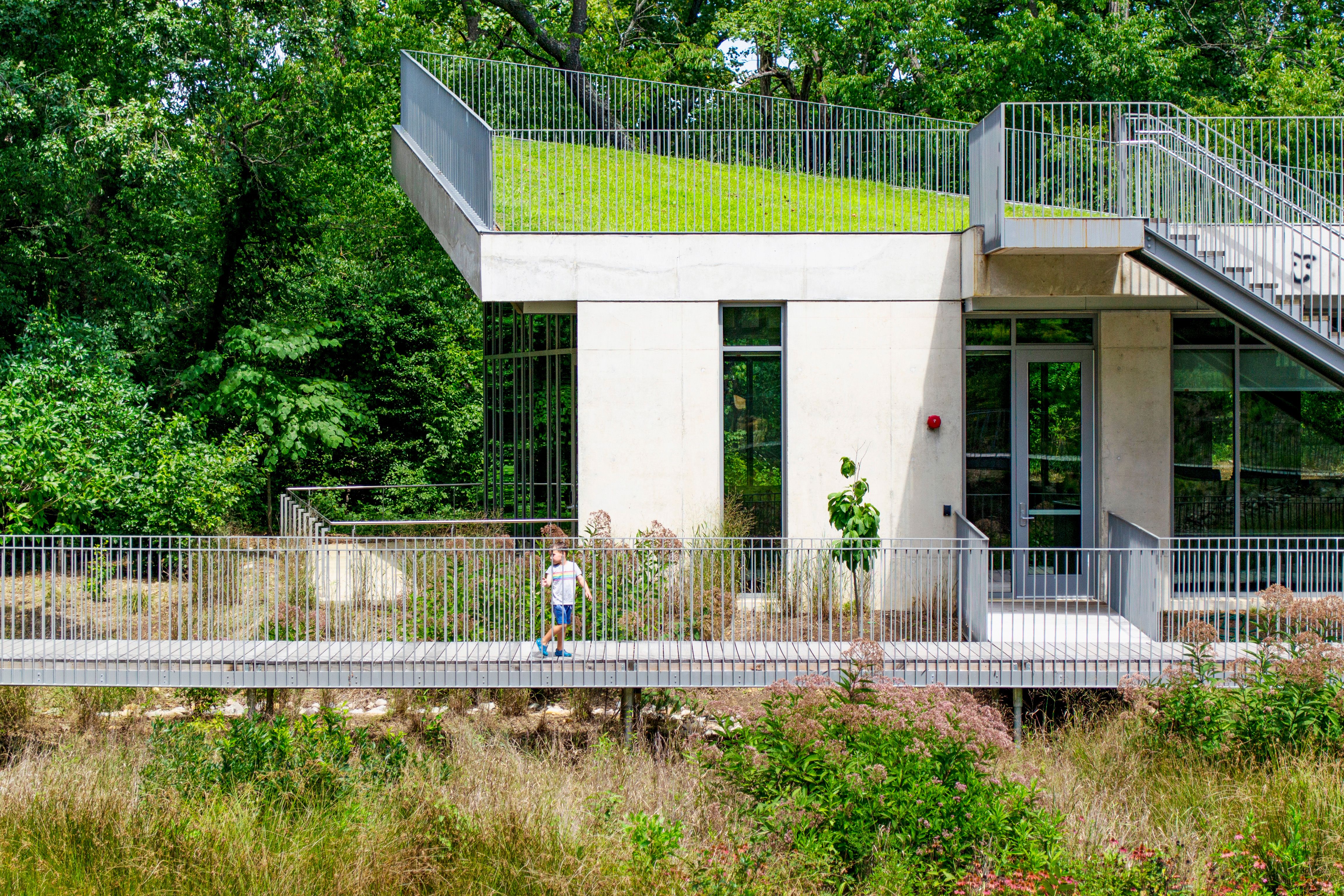 A photograph of a building embedded in the landscape. The building has a green grass roof. A child is visible on a boardwalk runs across the image. The foreground is a meadow of flowering plants. Green trees fill the background of the photo.