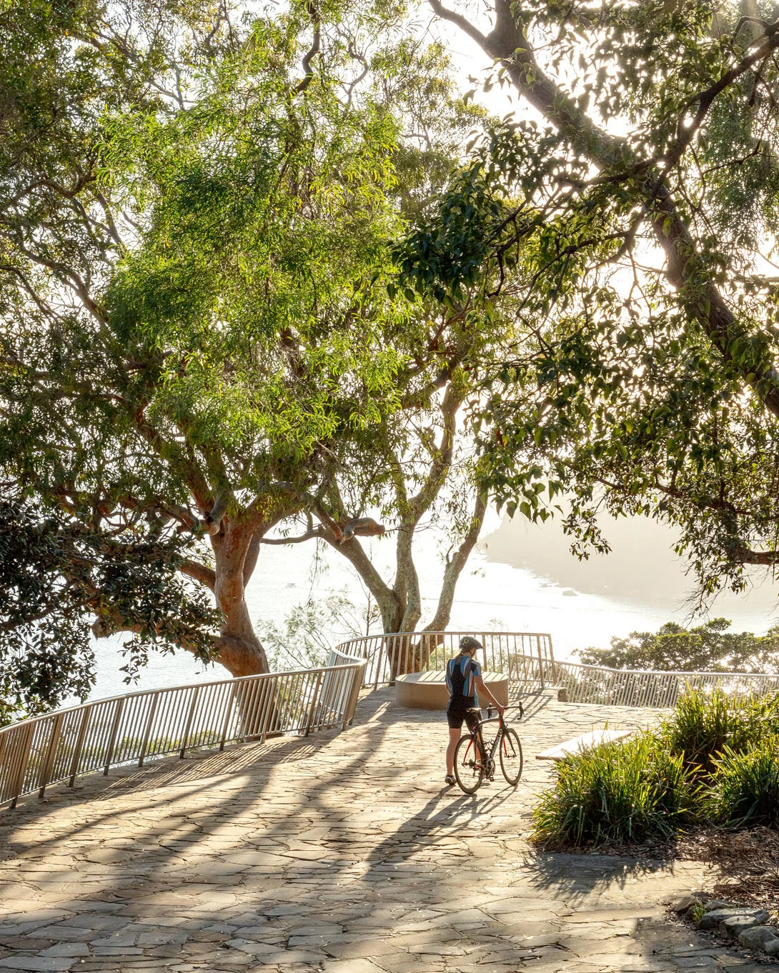 A photograph of a person walking their bike down a sandstone path surrounded by trees.