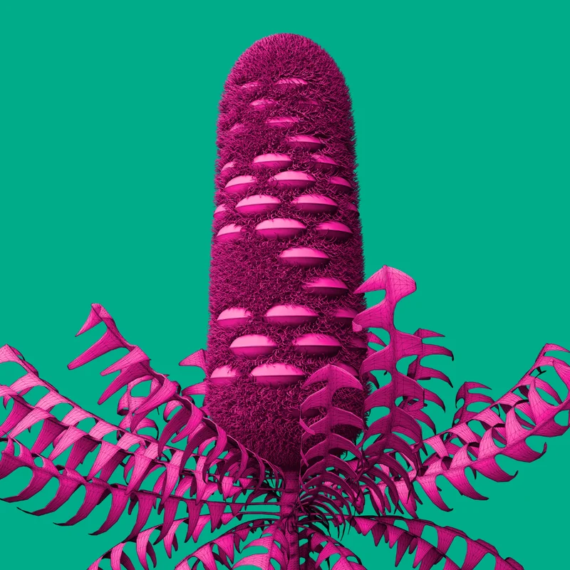 A digital image of a pink banksia cone and leaves, on an teal background.