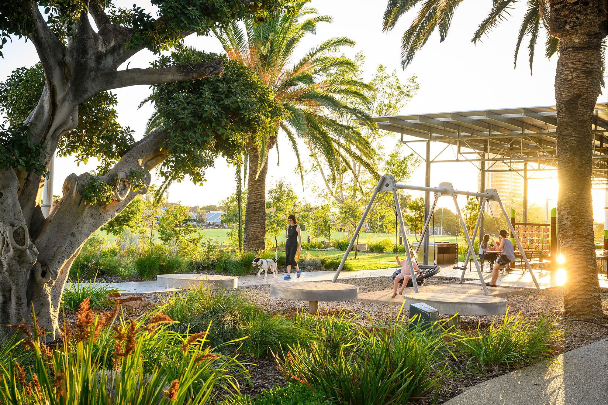 A photo of a park. There is dense planting in the foreground, kids swinging, a dog walker, and a setting sun in the background.