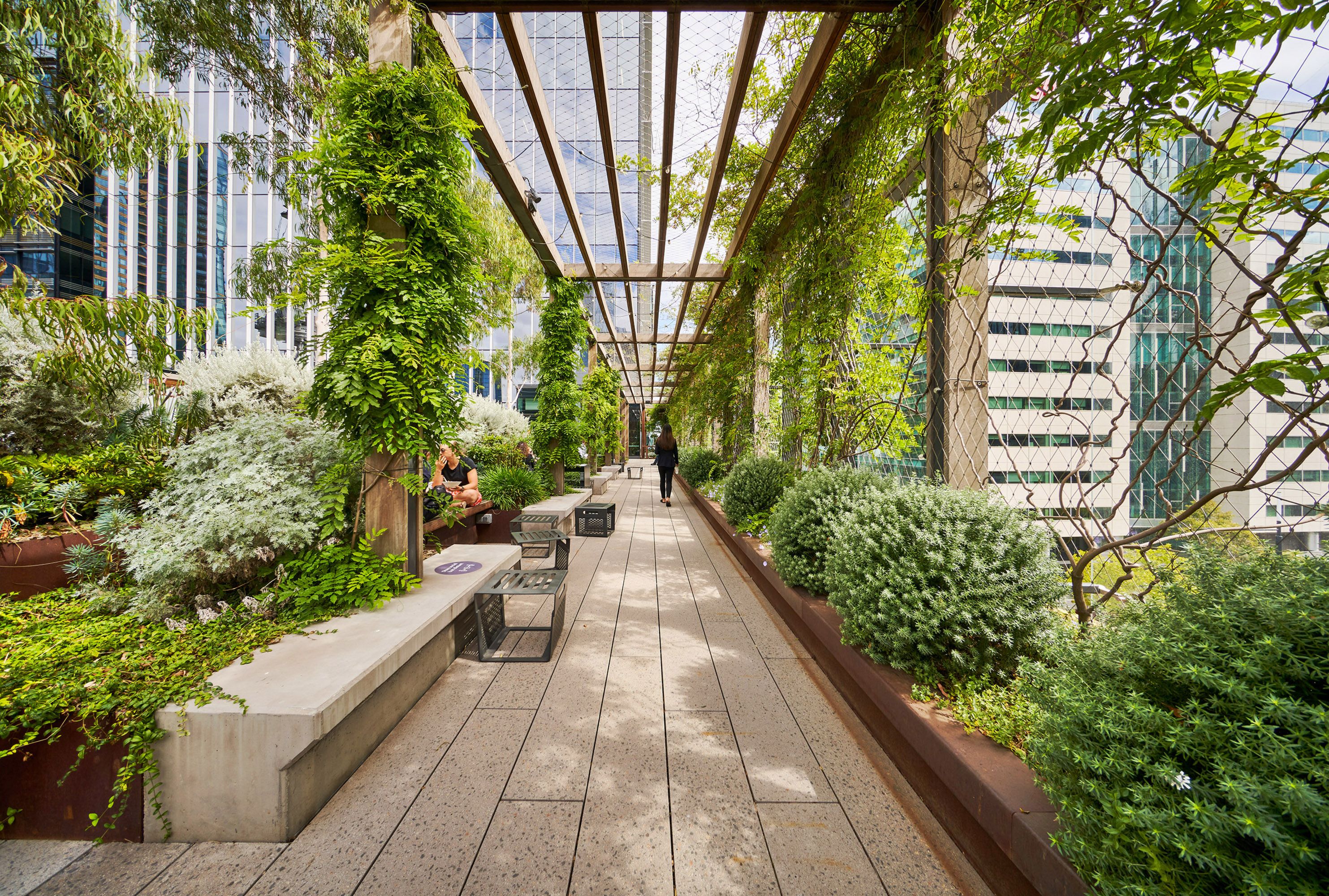 A photograph of walkway in an elevated urban park. The enclosed structure is teeming with an array of lush green plants. A few people can be seen in the park. There are city buildings in the background.