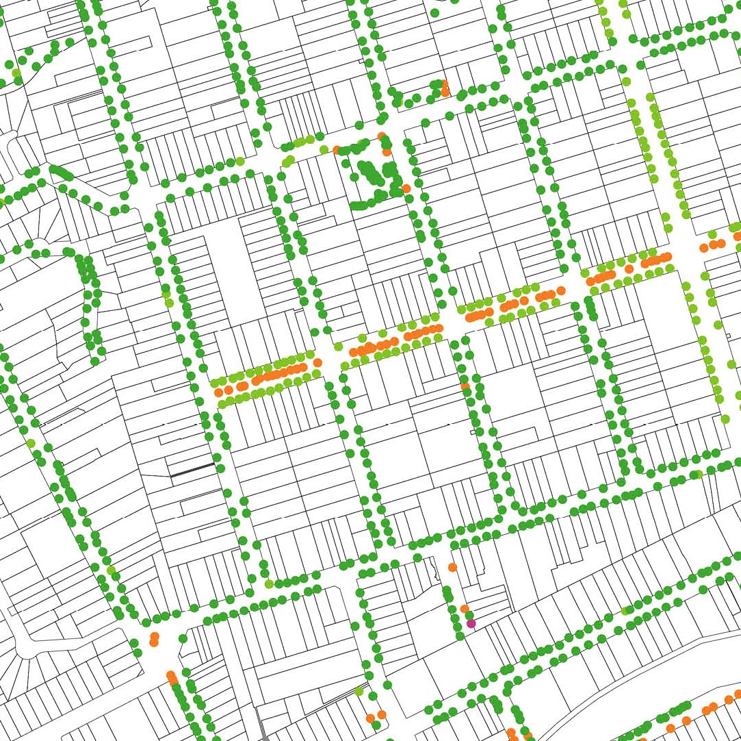 A graphic with coloured dots representing trees on a cropped black and white map of the study area.