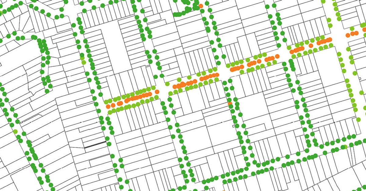 Oculus Tree OCULUS Urban Tree Canopy Master Plan wins ShadeSmart Award – OCULUS