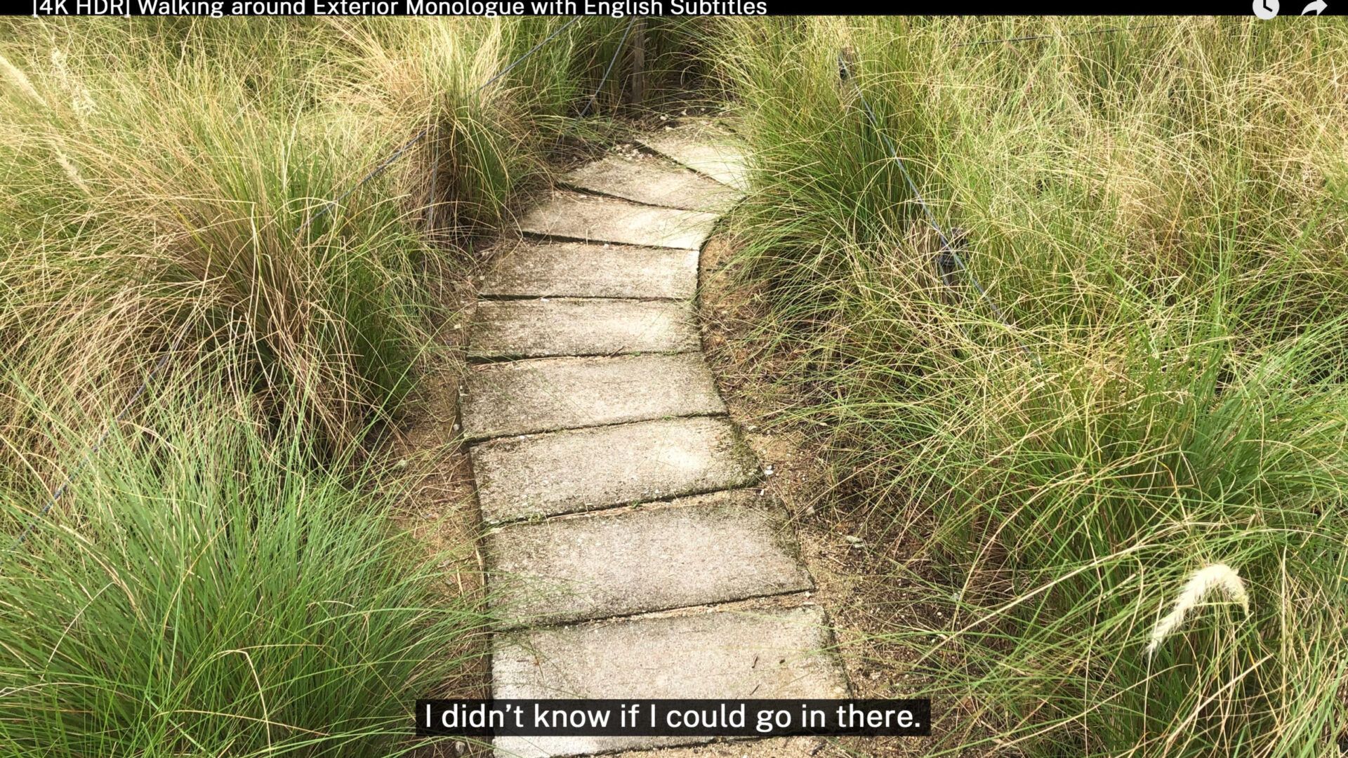 A video still of a narrow path. There are long clumps of grass on either side. A caption reads "I didn't know if I could go in there."