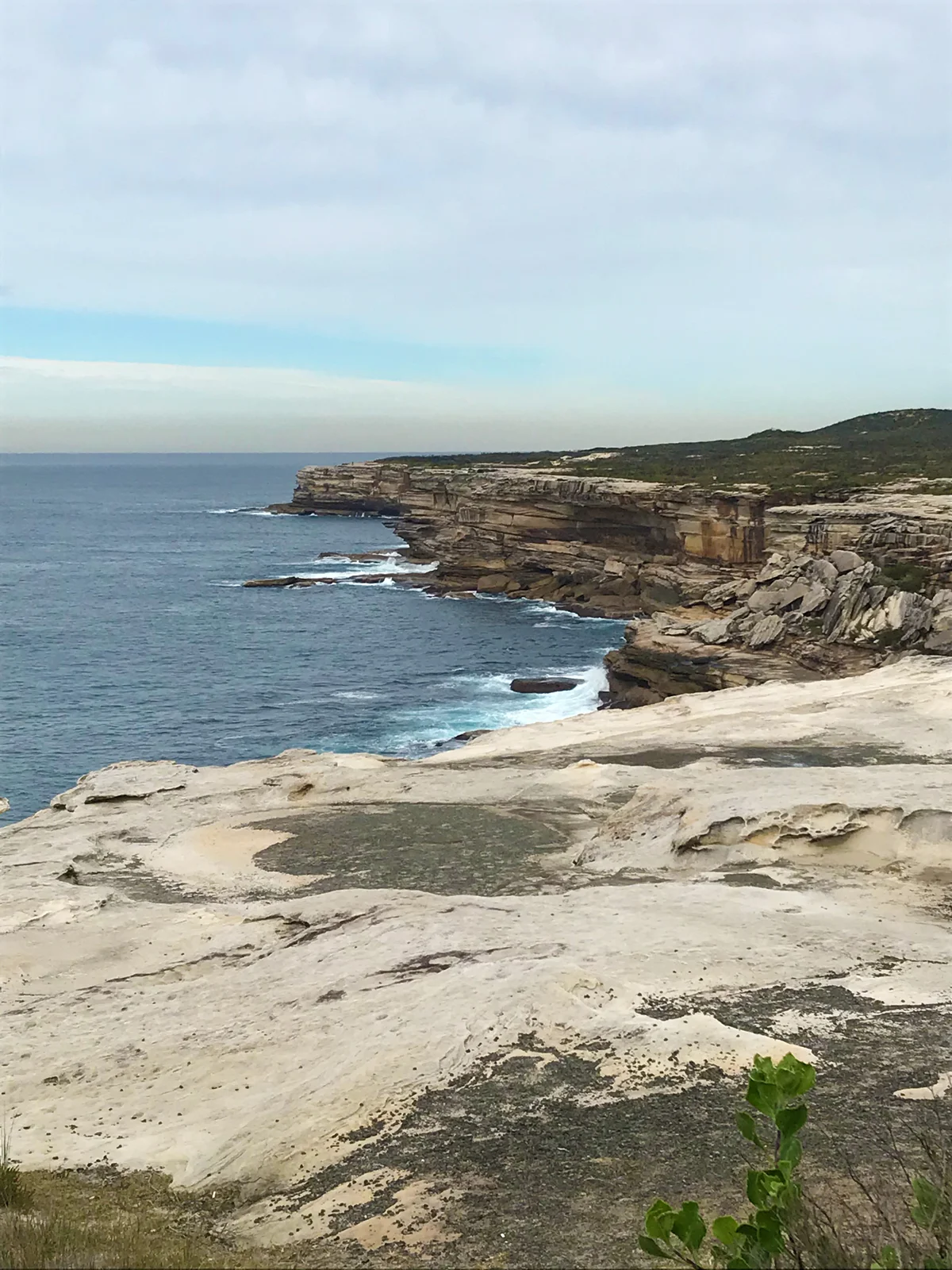 OCULUS to design and deliver new whale watching lookout at spectacular Cape Solander