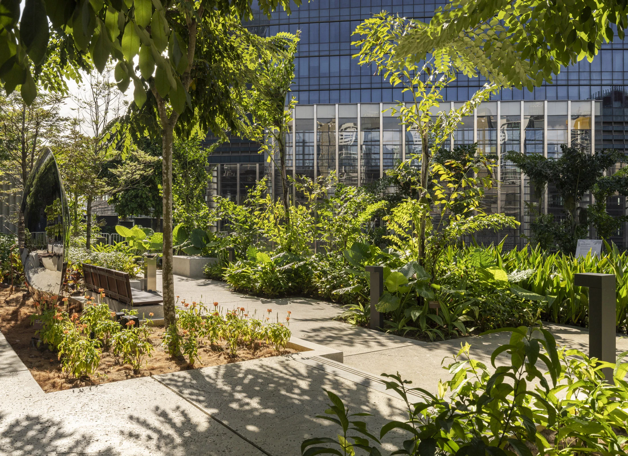 A photo of paths and planting in a rooftop garden, a building fills the background.