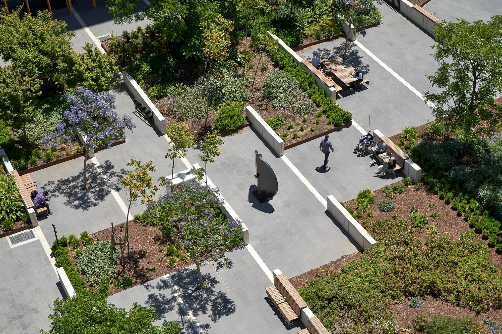 Trans-species health: An aesthetic responsibility