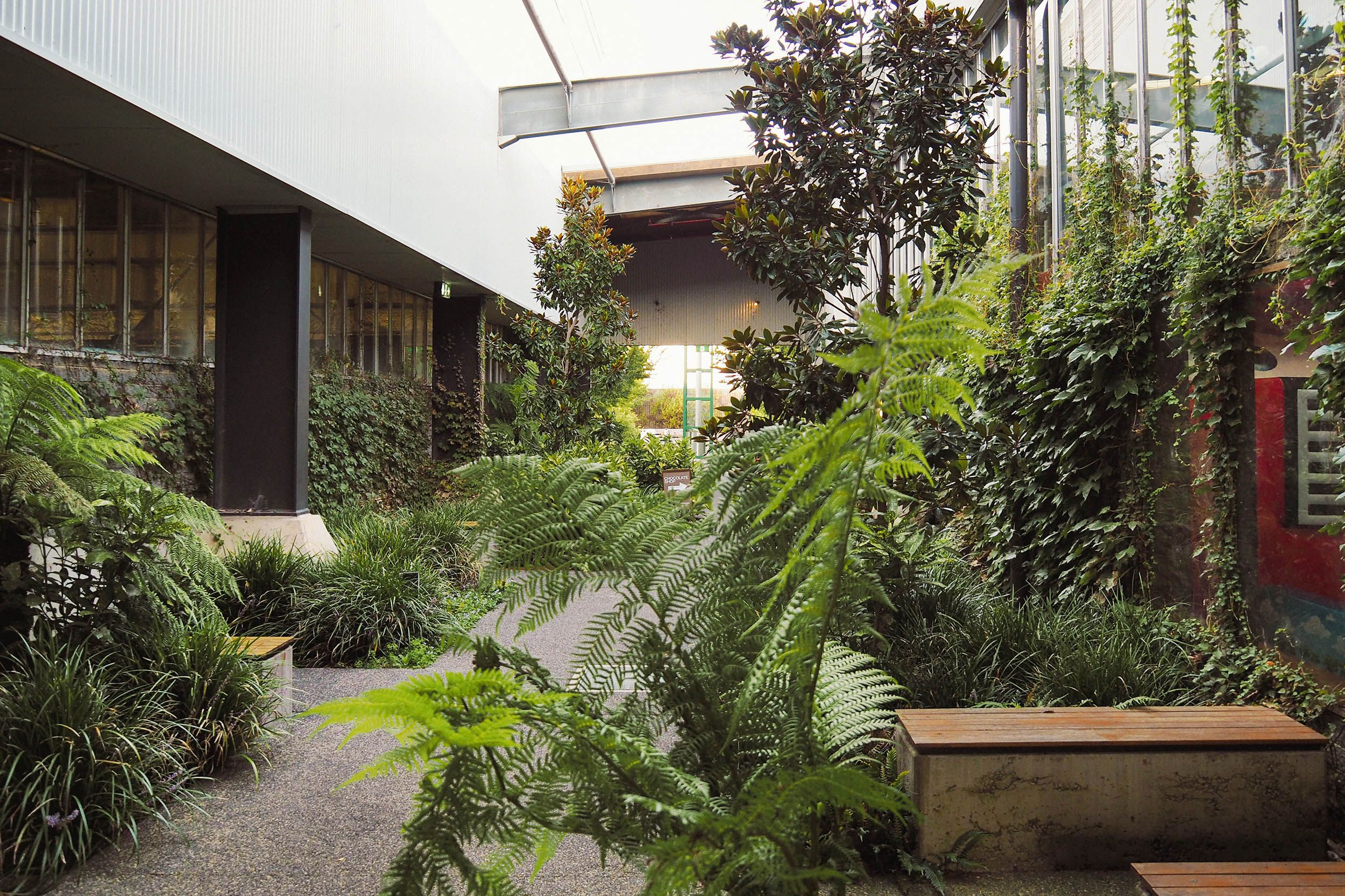 A photograph of a factory laneway filled with plants.