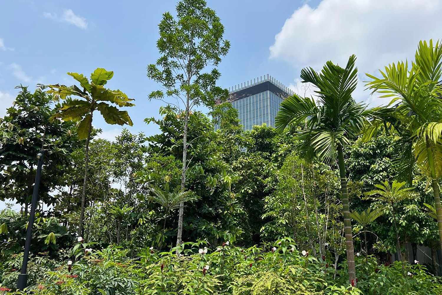 An image of lush trees and plants growing in a rooftop park. There is a tall building, blue sky, and clouds in the background. 