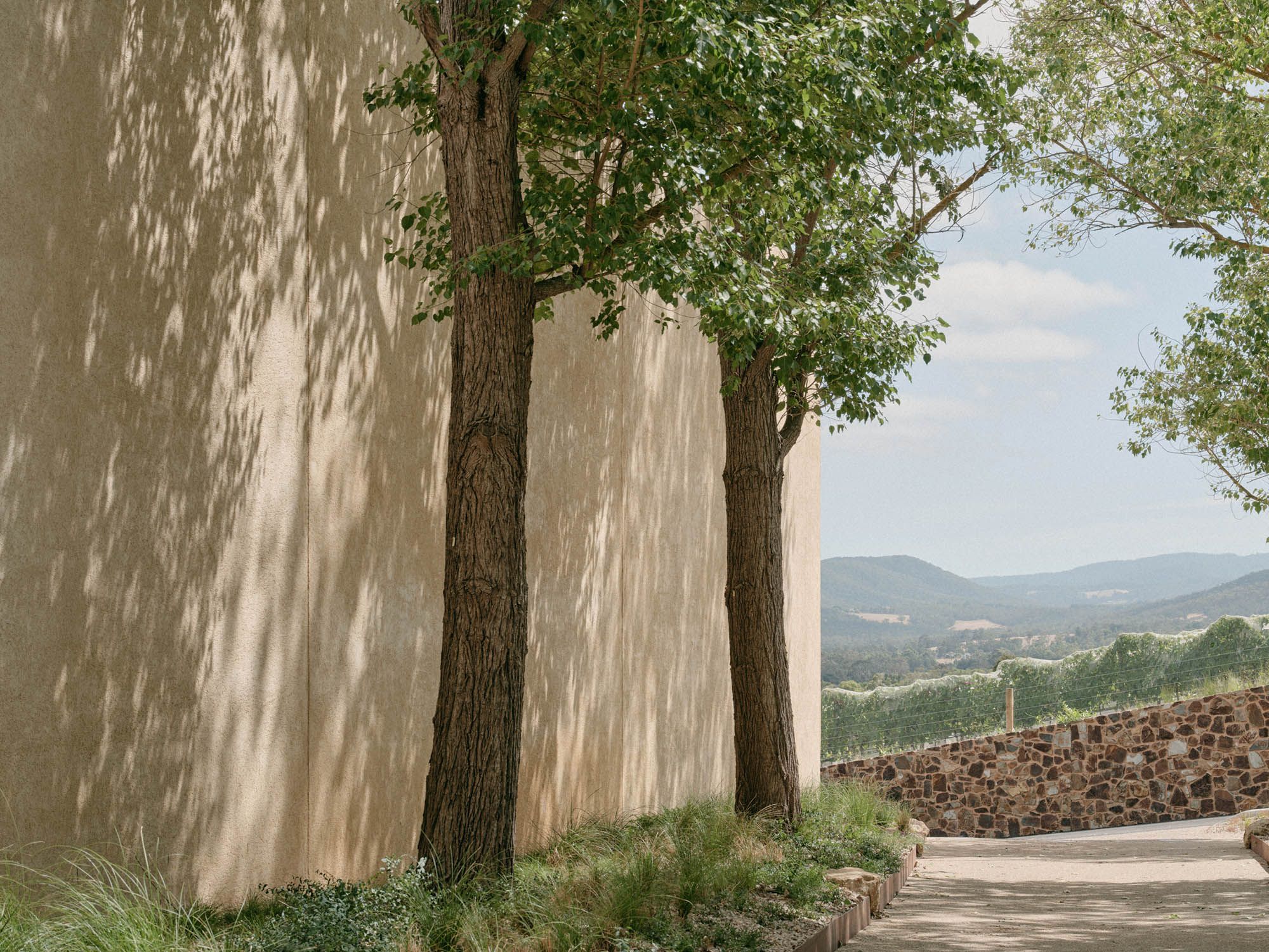 A view of Country from a shady and tree-lined laneway-like space. 