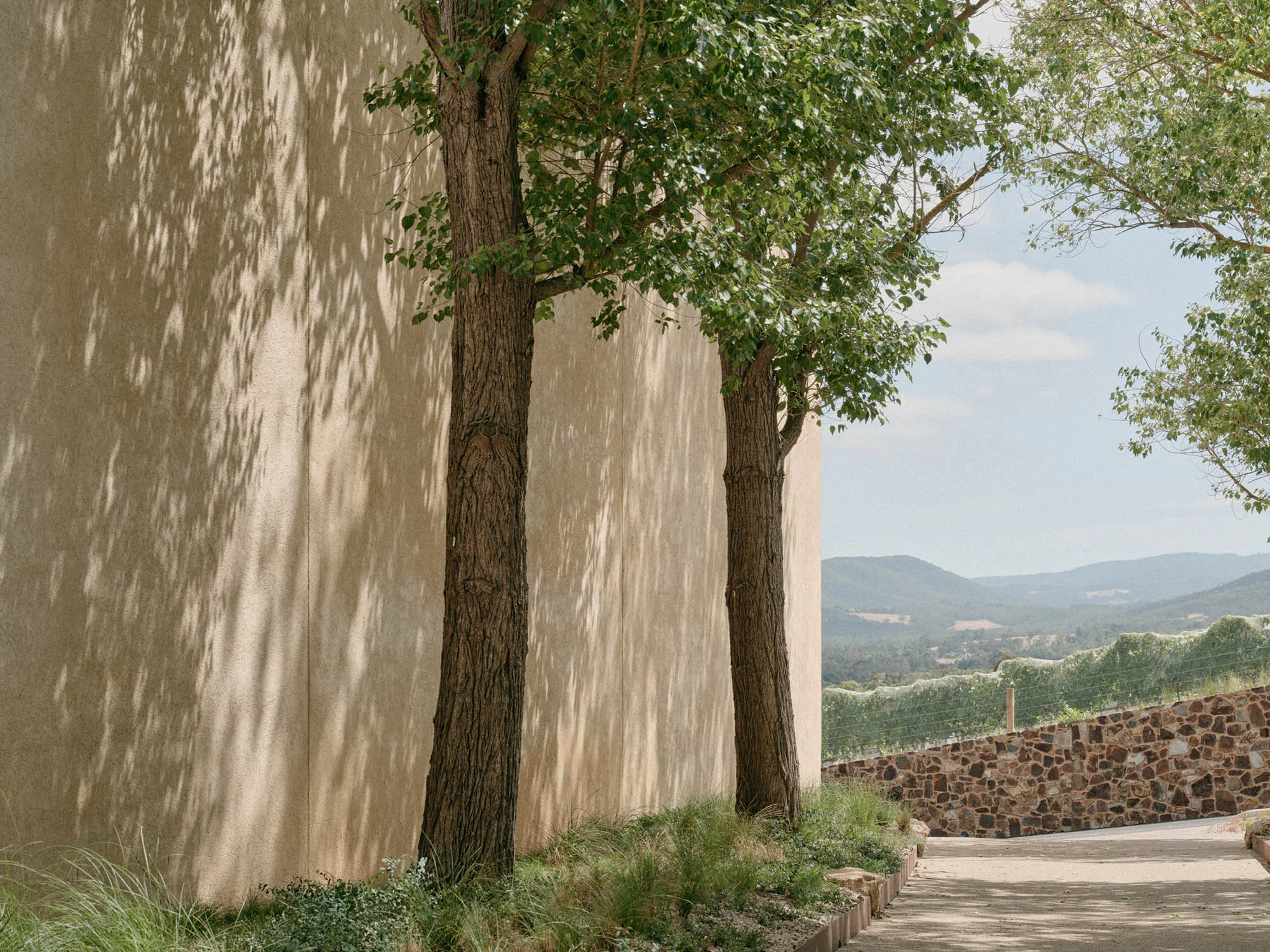 A view of Country from a shady and tree-lined laneway-like space.