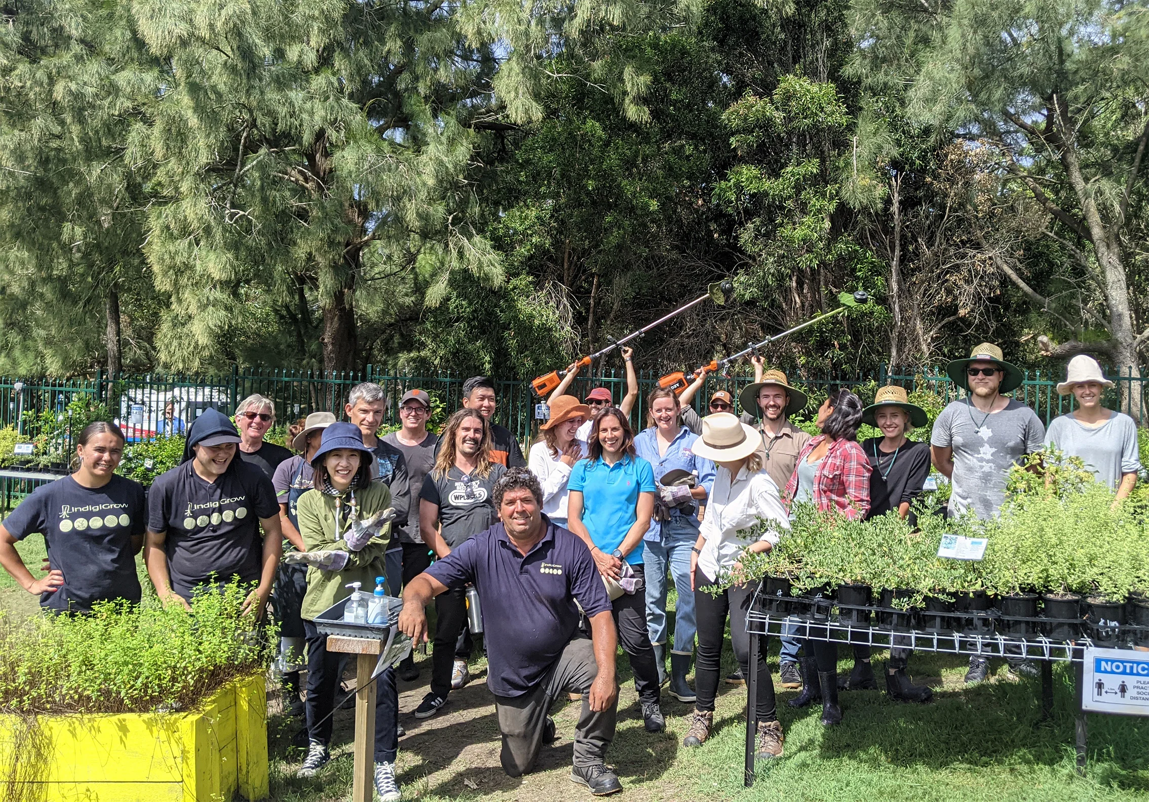 Listening, learning and getting our hands dirty at IndigiGrow
