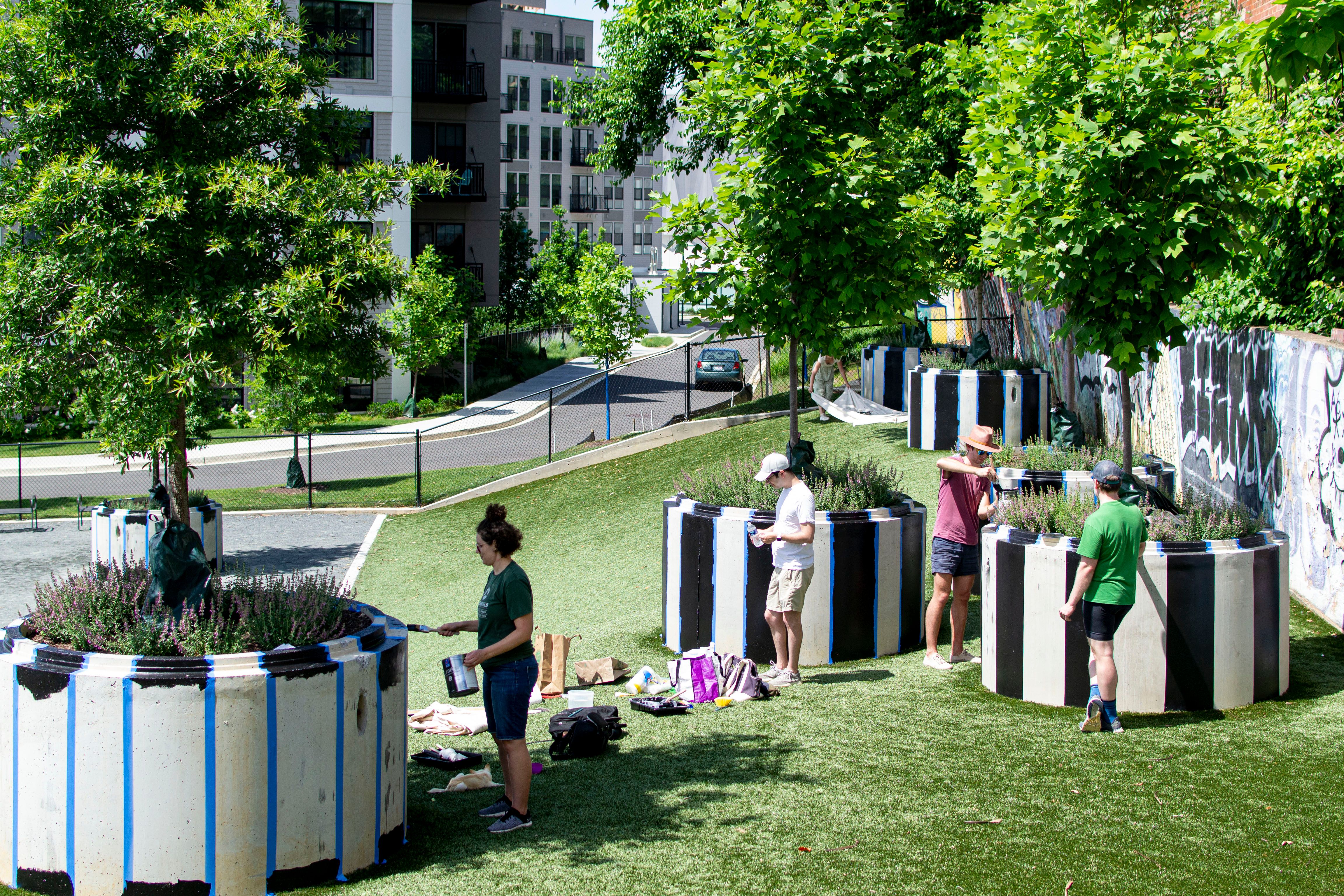 A photograph of people painting stripes on large concrete planters. The planters each have a tree surrounded by small flowering shrubs. They are located on a grassy slope next to a wall of graffiti.  Apartment buildings can be seen in the background. 