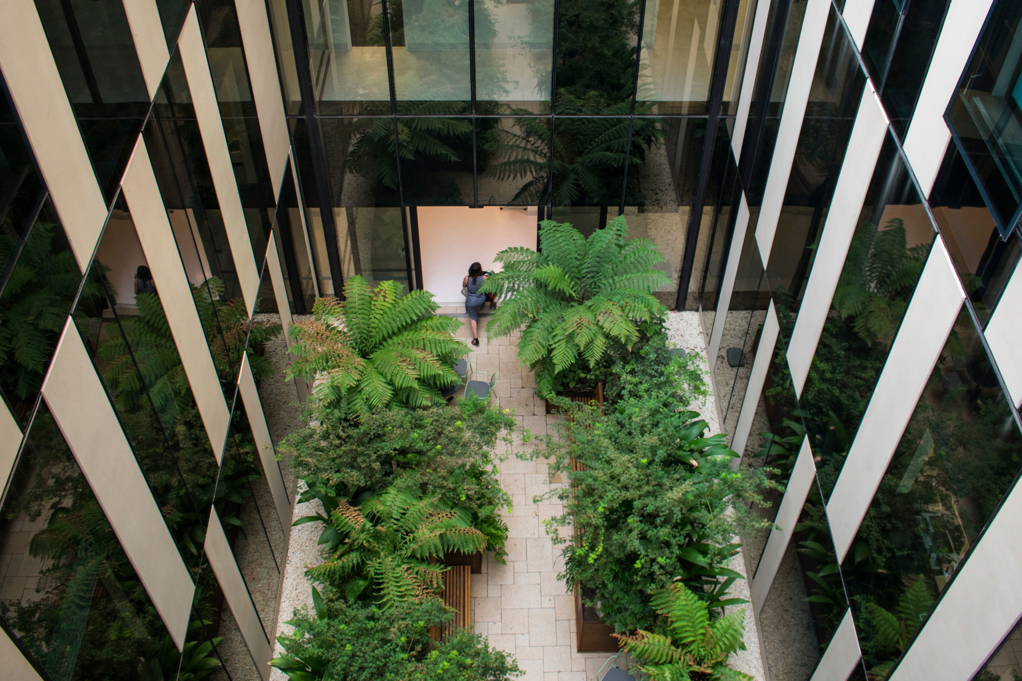 A photograph of a person entering a large building through a courtyard filled with tree ferns and other plants.
