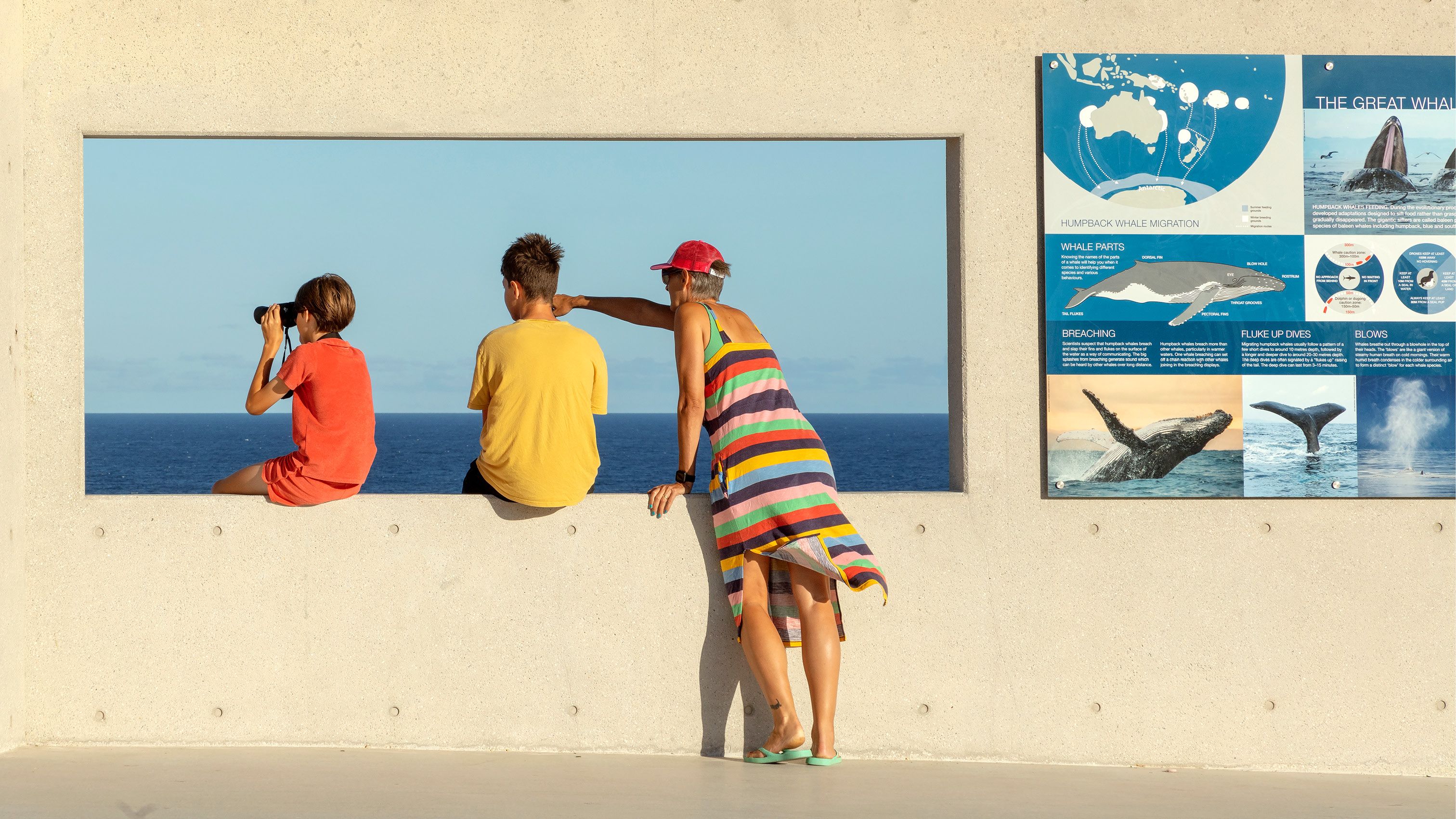 A photograph of three people in bright coloured clothing looking through an open outdoor window towards the sea. There is signage with whale images on the right. One person is pointing, and another is looking through binoculars. 
