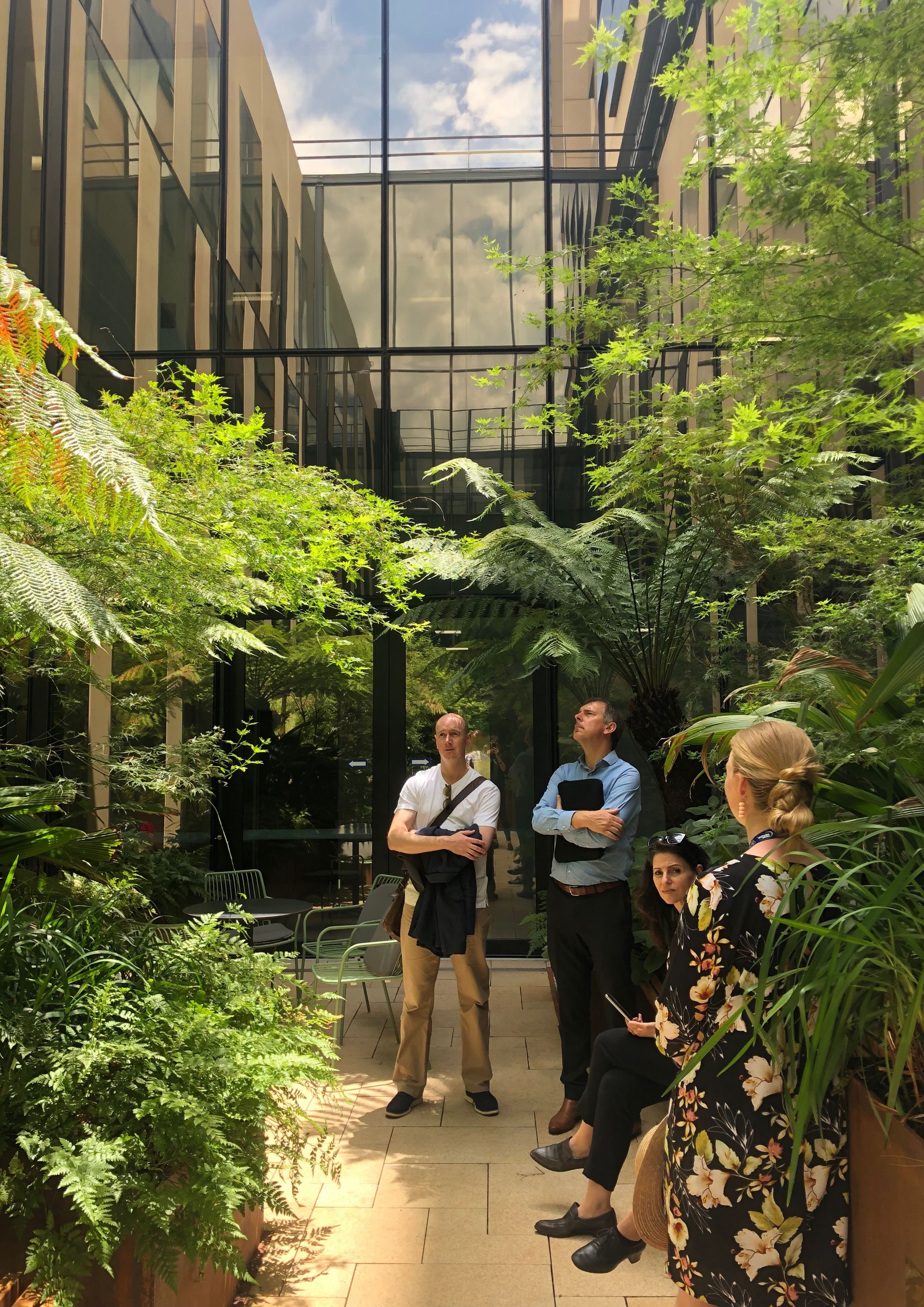 A photograph of group of business people in a courtyard space surrounded by lush green planting, including ferns. The courtyard is surrounded by a glazed building, with a reflection of the sky visible at the top of the image.