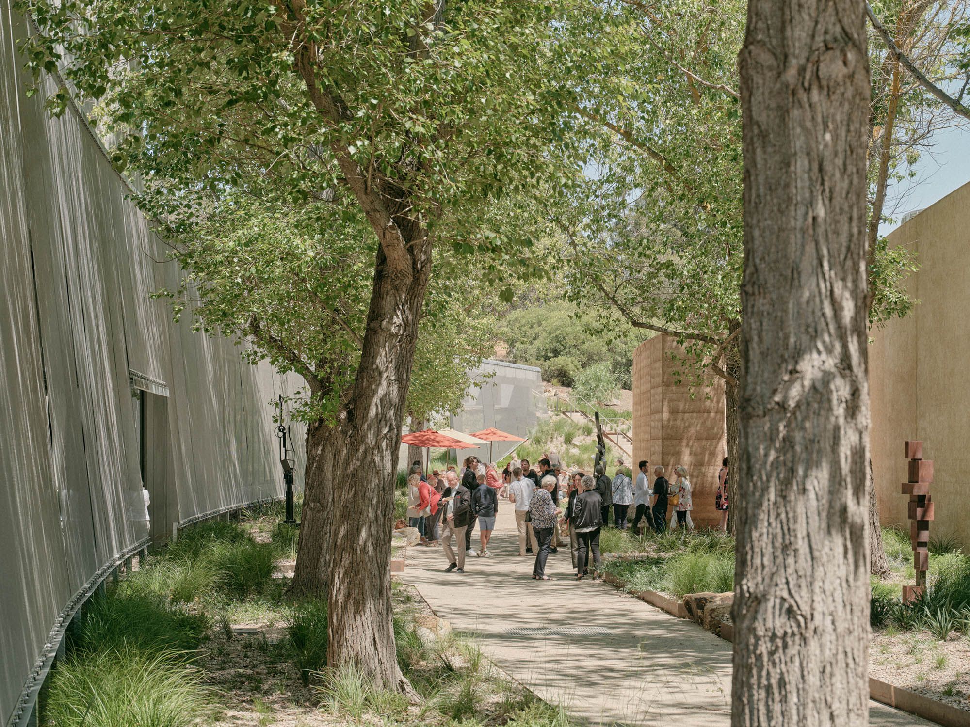 A photo of people socialising in a tree-lined, laneway-like, curved space under the shade of trees and umbrellas. 