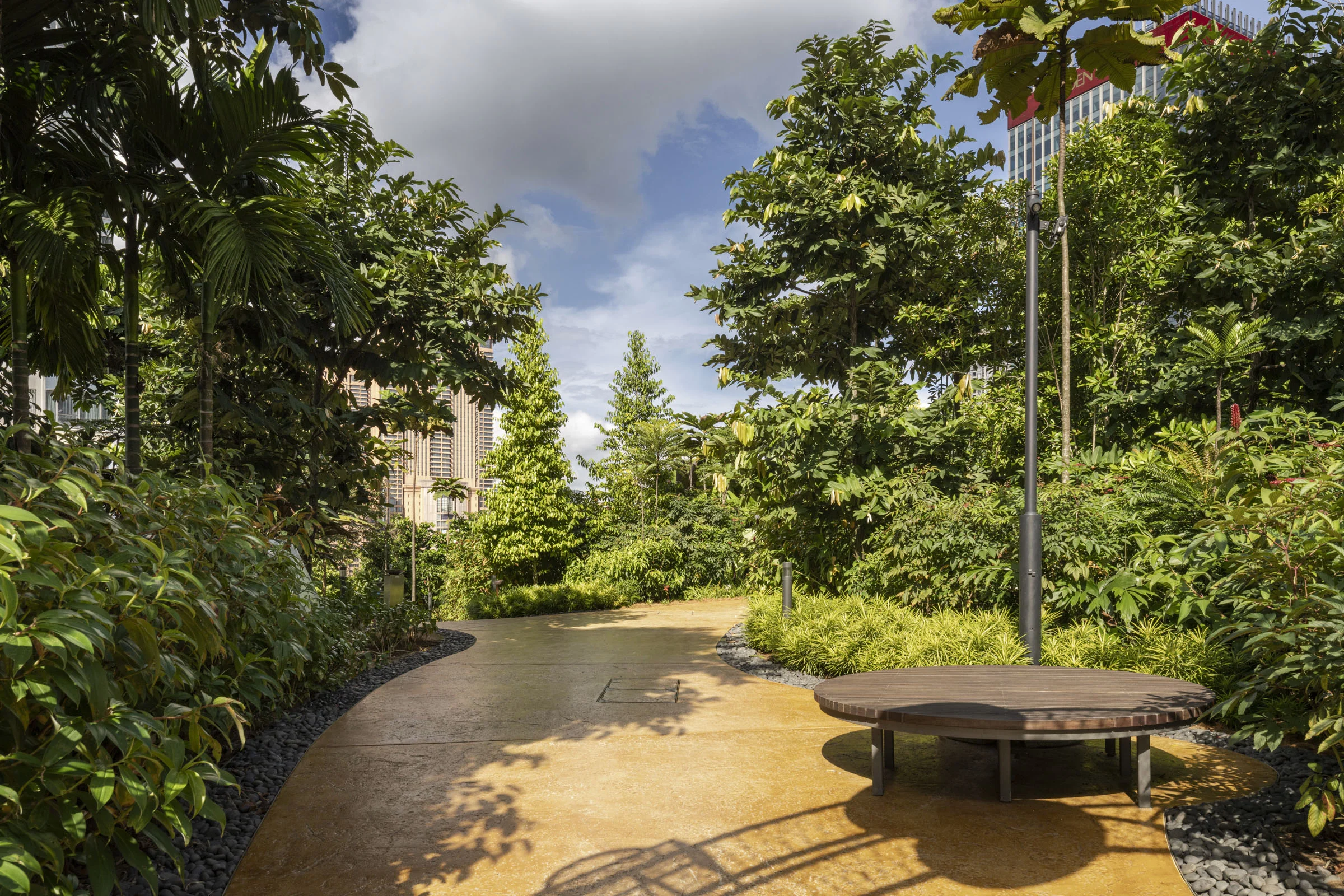 A photo of a wide path winding through a rooftop forest.