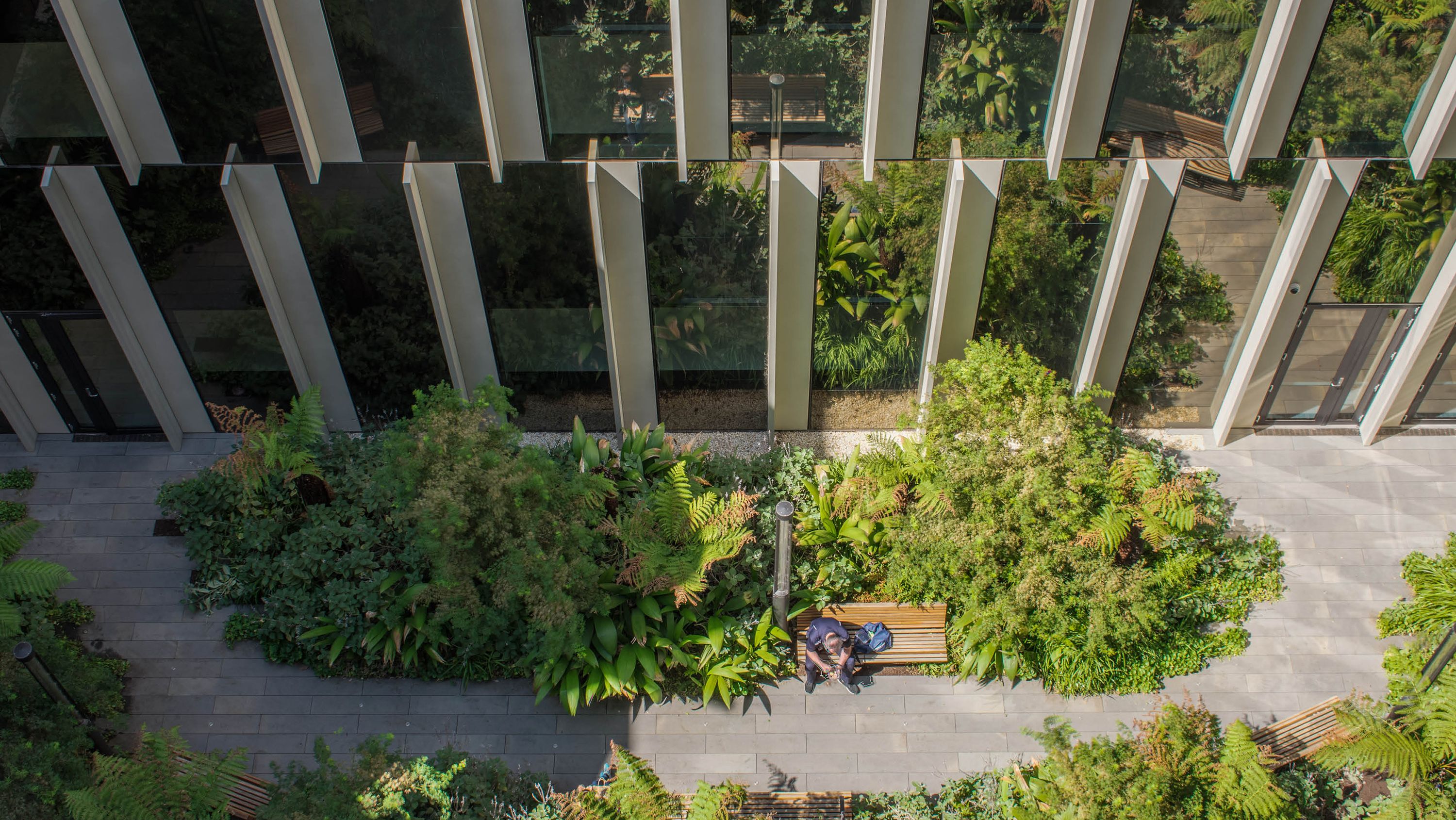 A photograph of a person sitting in a partially sunny courtyard filled with tree ferns and other plants.
