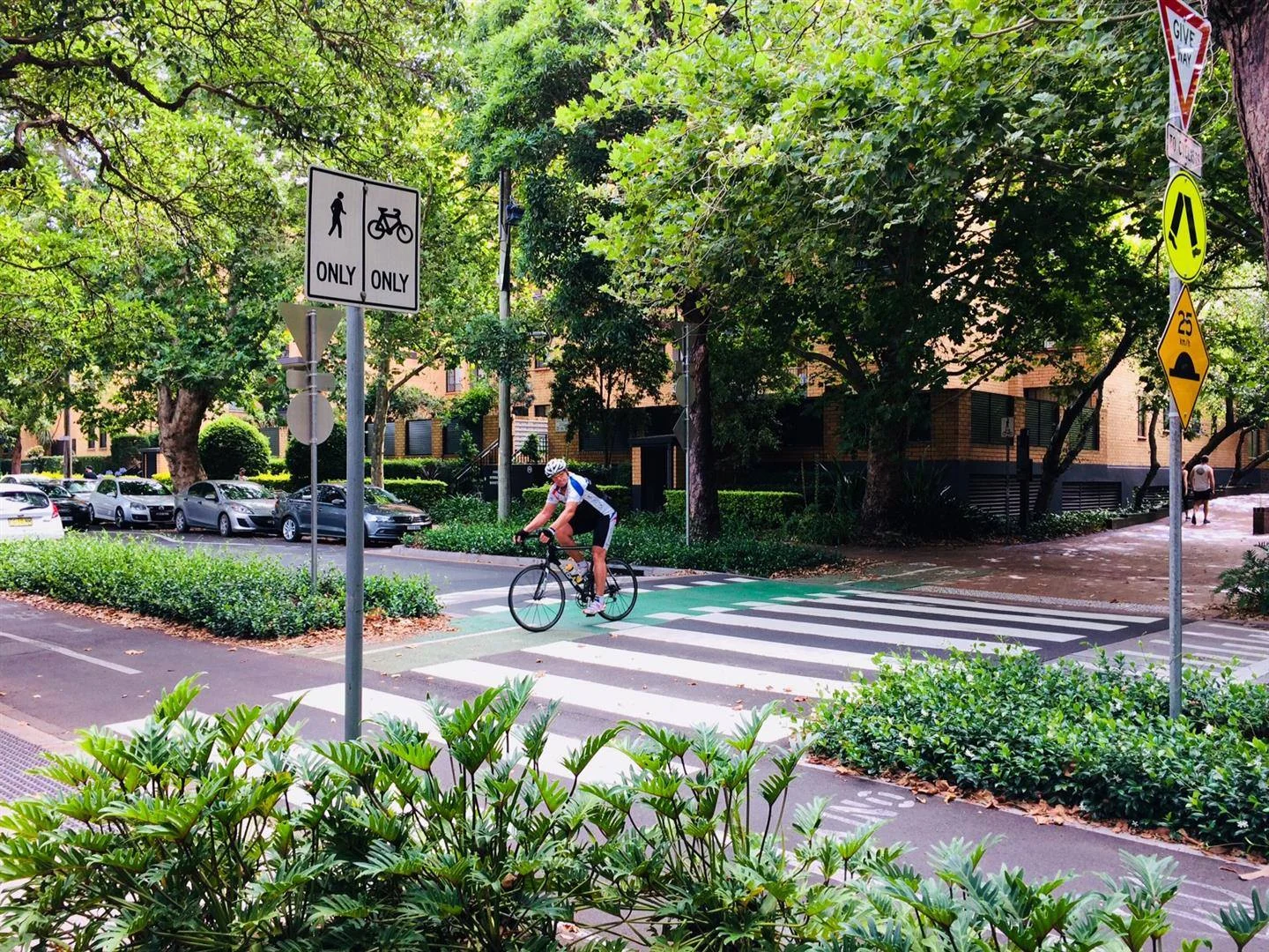 Designing an active transport plan for Woollahra