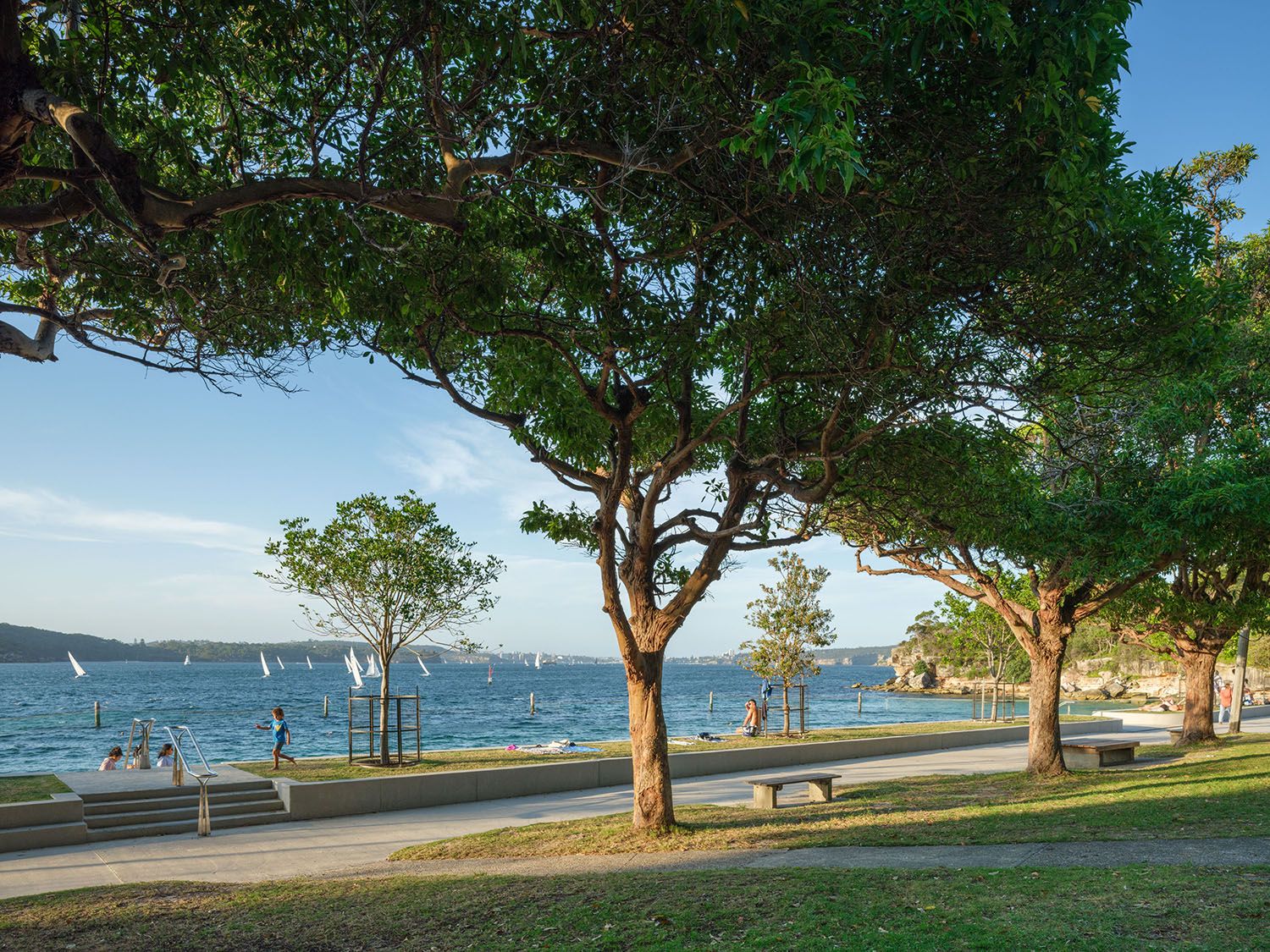 A photograph of a beach waterfront lined with a row of established trees and a row of new trees. There is blue sky and blue water in the background.