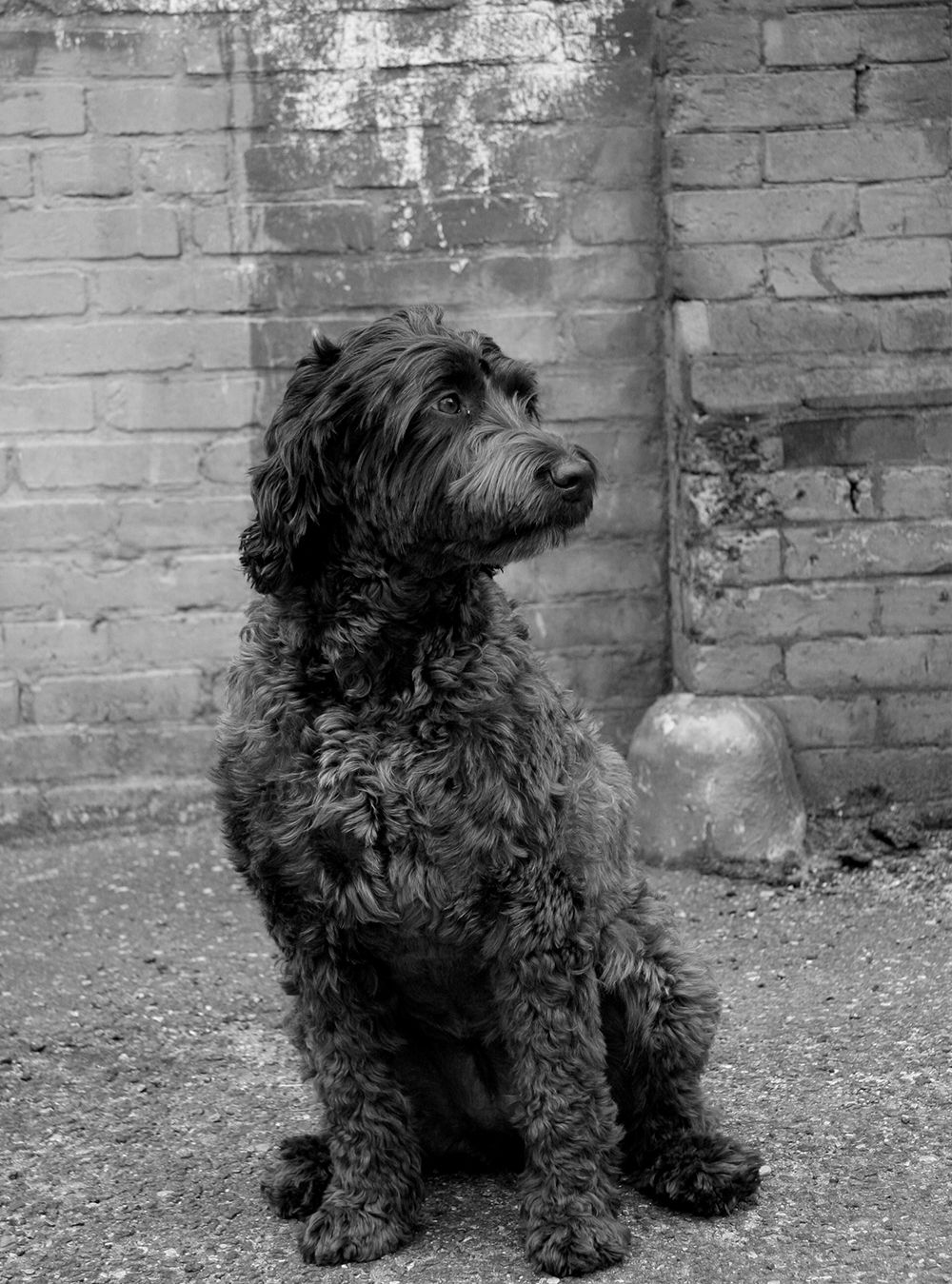 Photo of Billie Hoover