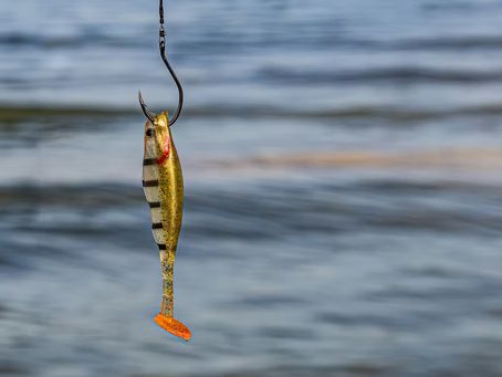 Phishing, usurpation d'identité : nos conseils pour améliorer votre cyber