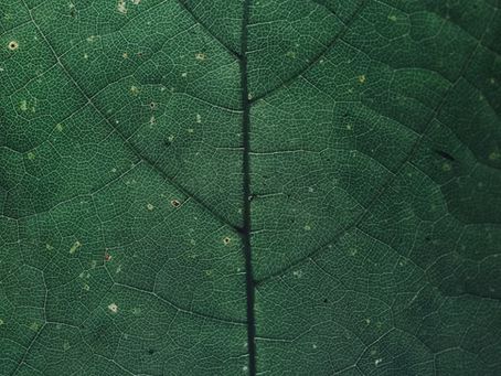 EDR, NDR, XDR, MDR : quelles sont les vraies différences ?