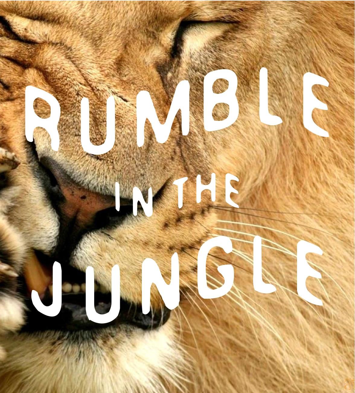 Rumble in The Jungle Main Image