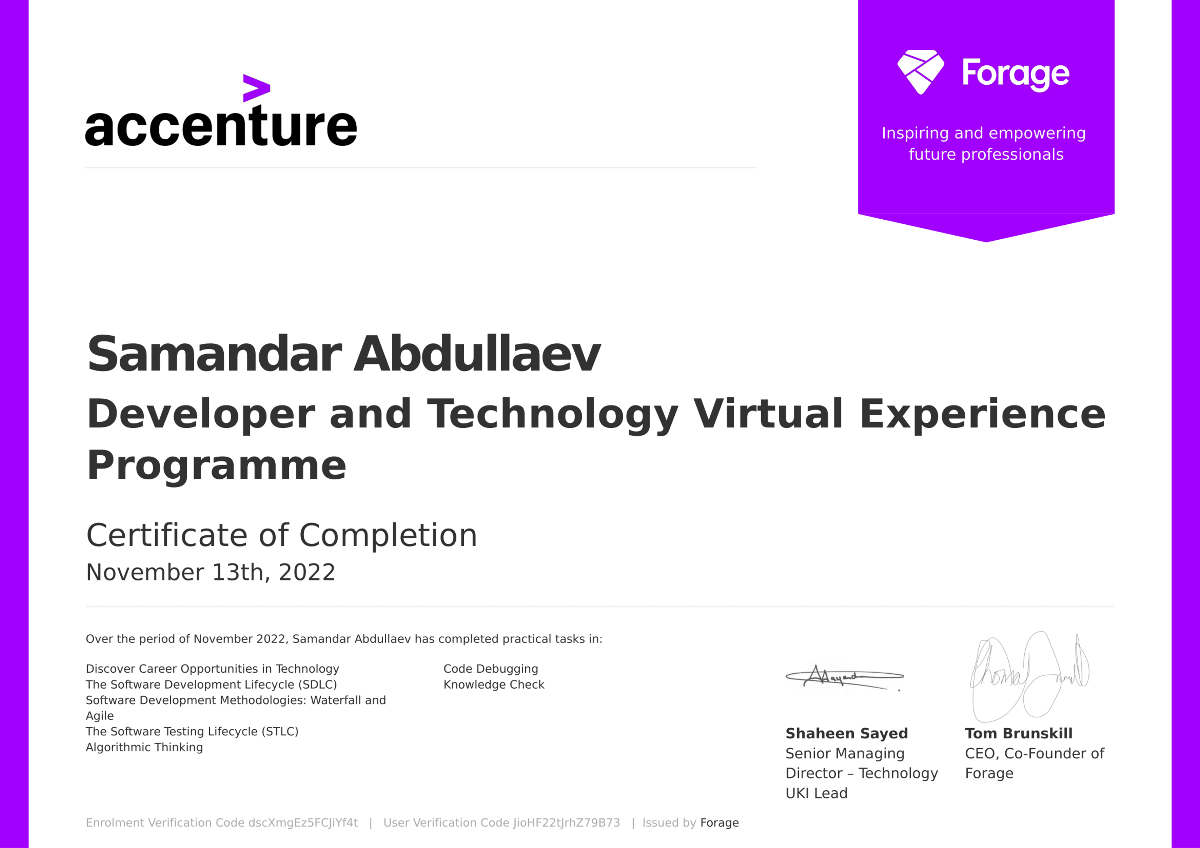 Accenture Developer and Technology Virtual Experience Program