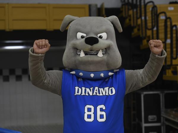 Gallery image 6