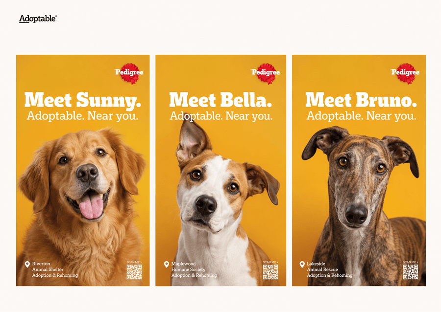Pedigree “Adoptable” ads by Colenso BBDO, using AI to turn shelter-dog photos into posters that introduce local dogs available for adoption