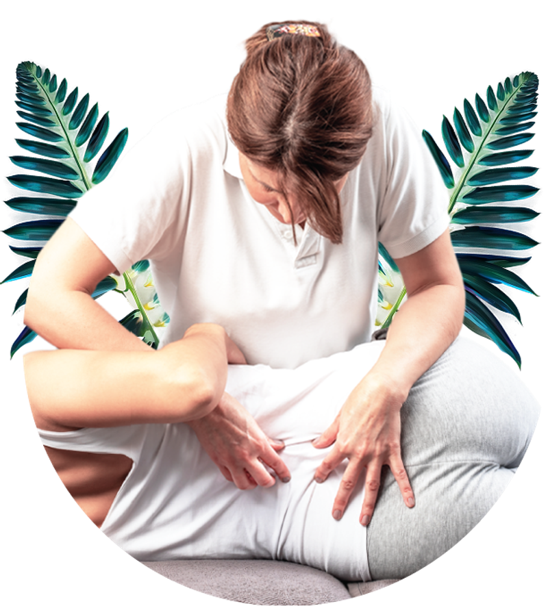 Hawaii Wellness Care