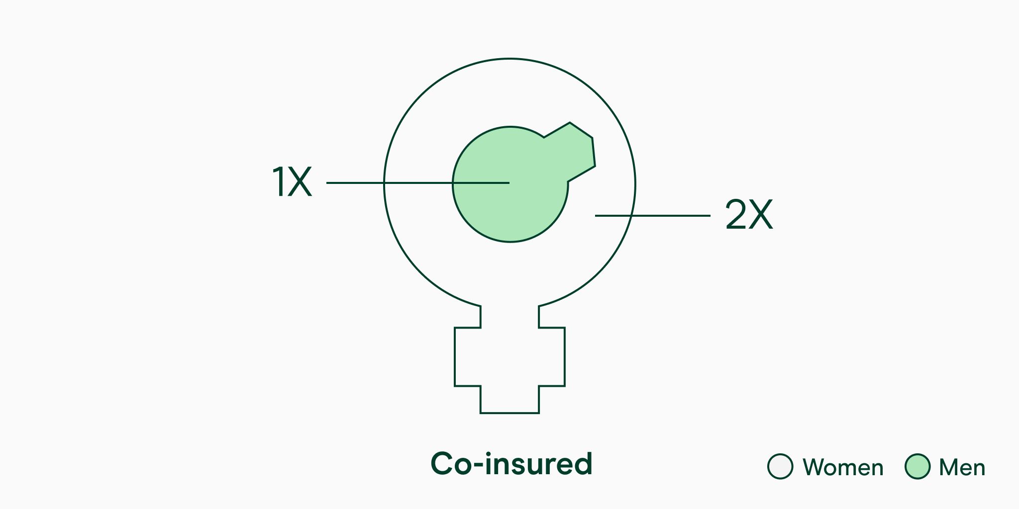 Co-insured statistic by gender