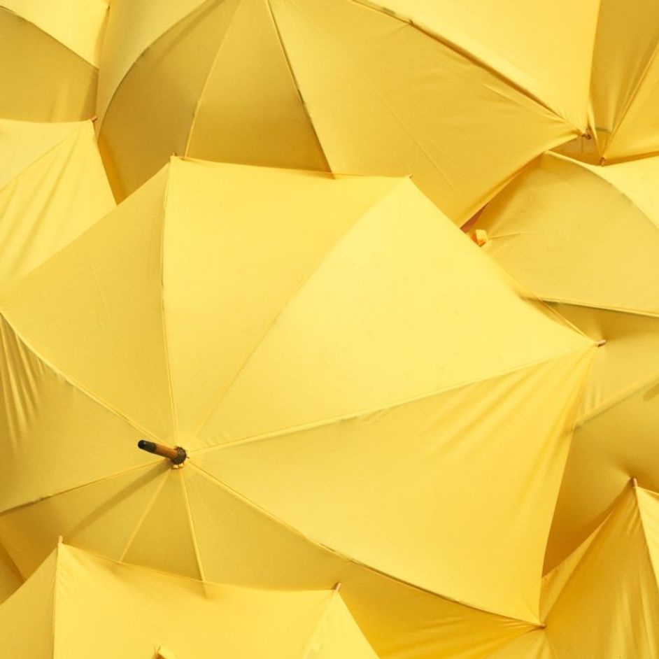 Open yellow umbrellas