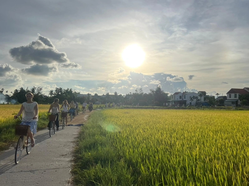 a group of people are riding bicycles down a path in a field .