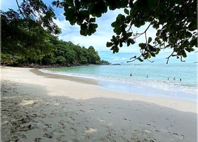 a group of people are swimming in the ocean on a beach .