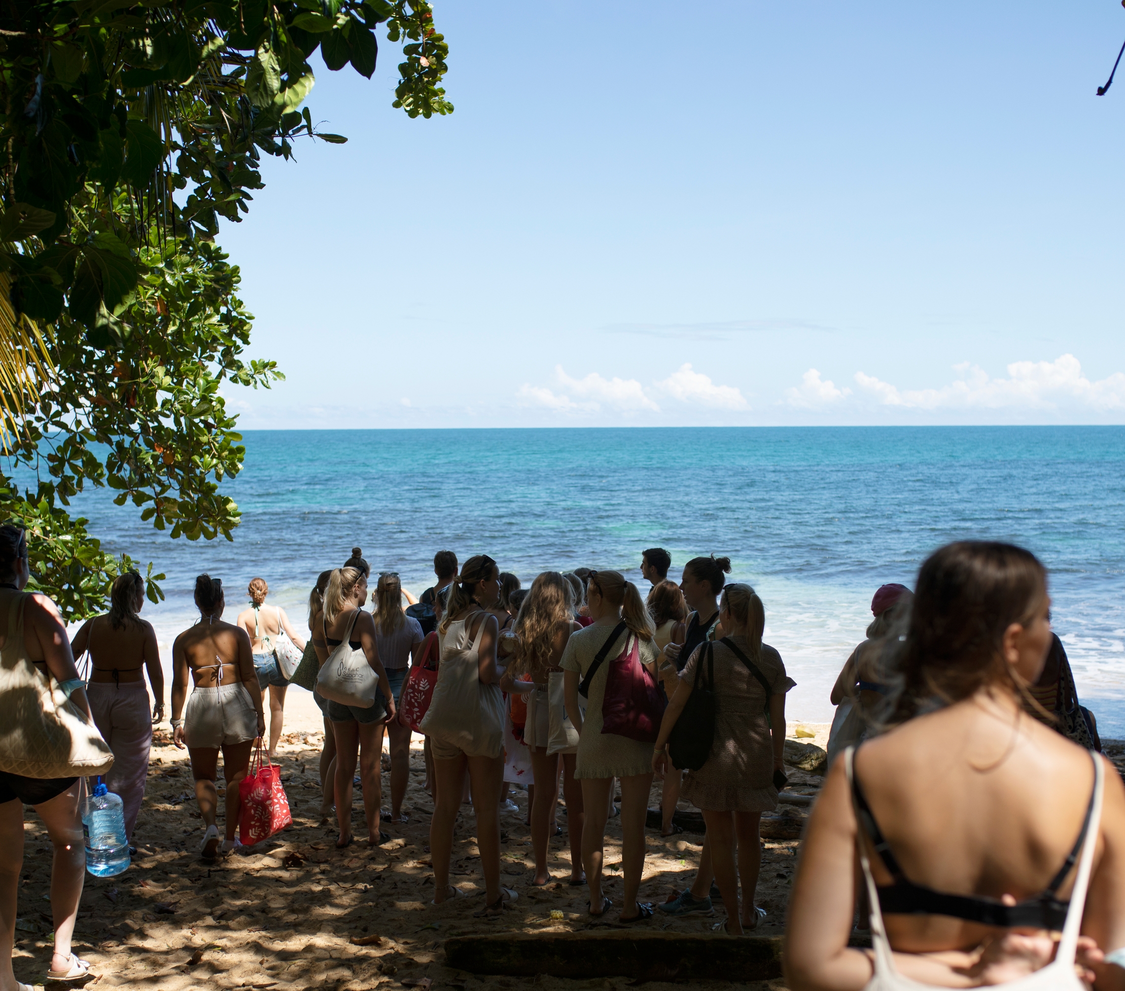 a group of people are standing on a beach looking at the ocean .