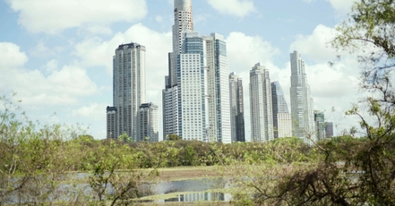 a city skyline with a lake in the foreground and trees in the background .
