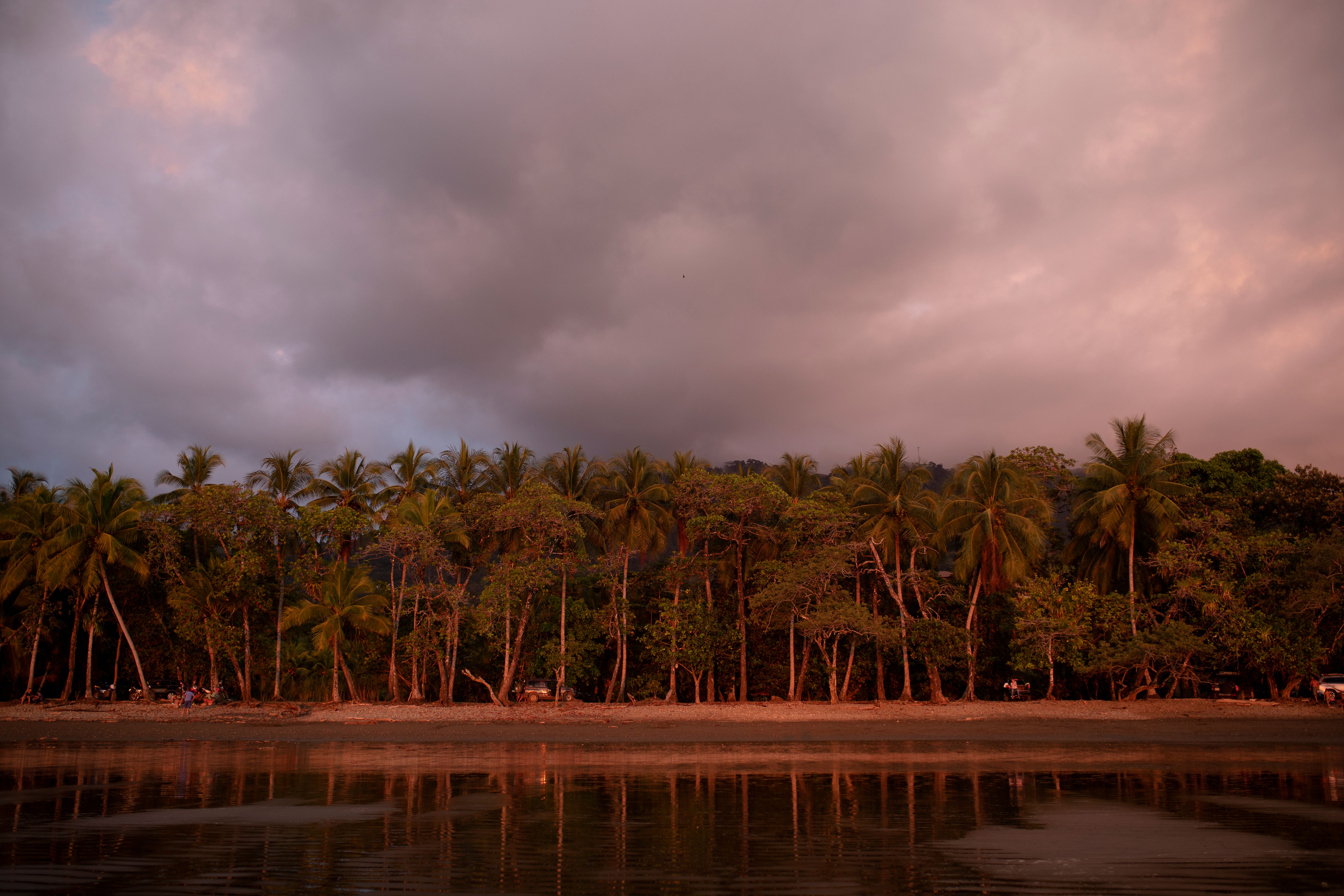 A tropical beach with palm trees under a dramatic pink and gray cloudy sky, reflected in calm water.