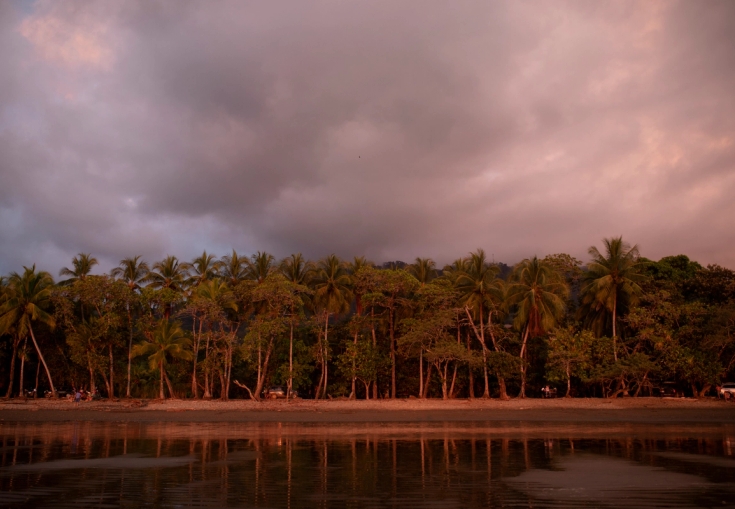 A tropical beach with palm trees under a dramatic pink and gray cloudy sky, reflected in calm water.