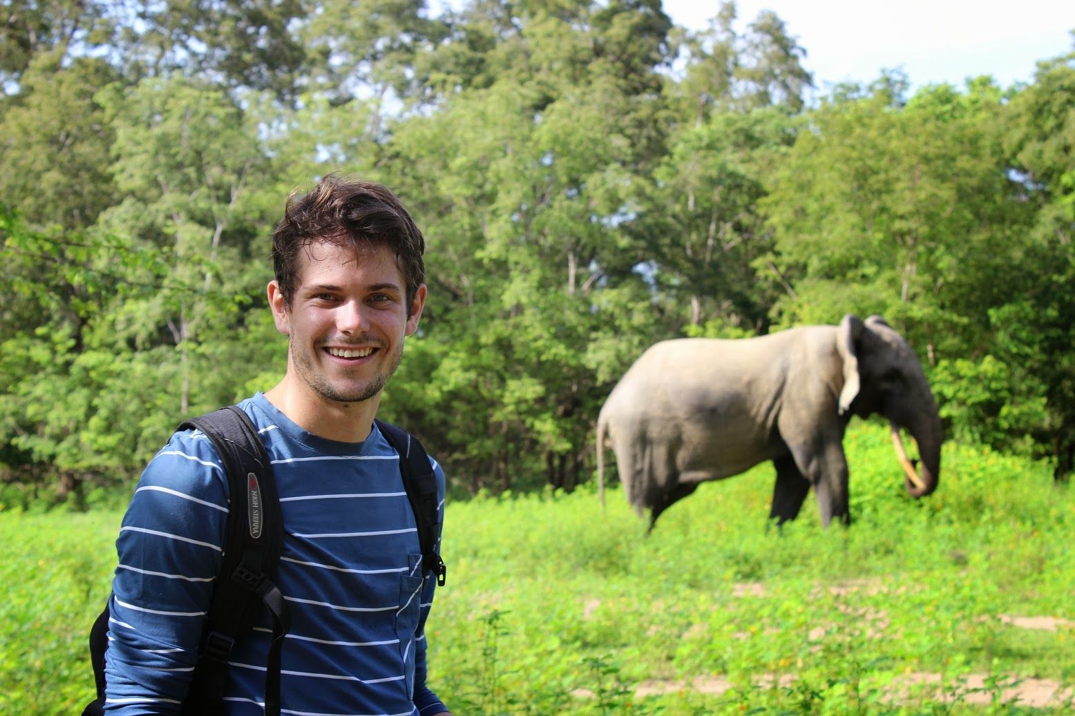 en mann med en ryggsekk står på et felt med en elefant i bakgrunnen