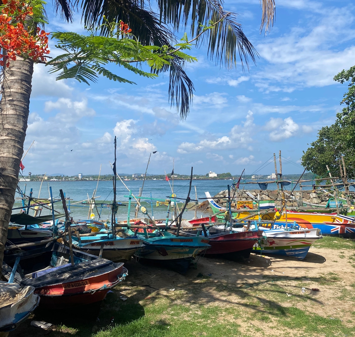 a bunch of boats are parked on the beach under a palm tree .