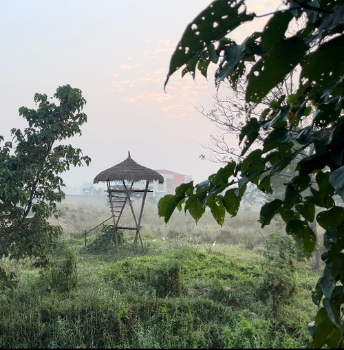 a small hut is sitting in the middle of a grassy field .