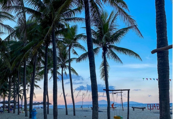 a beach with palm trees and swings and a sign that says luap