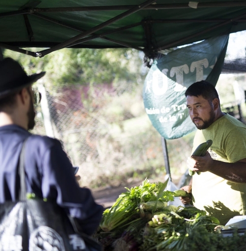 a man is selling vegetables at a farmers market.
