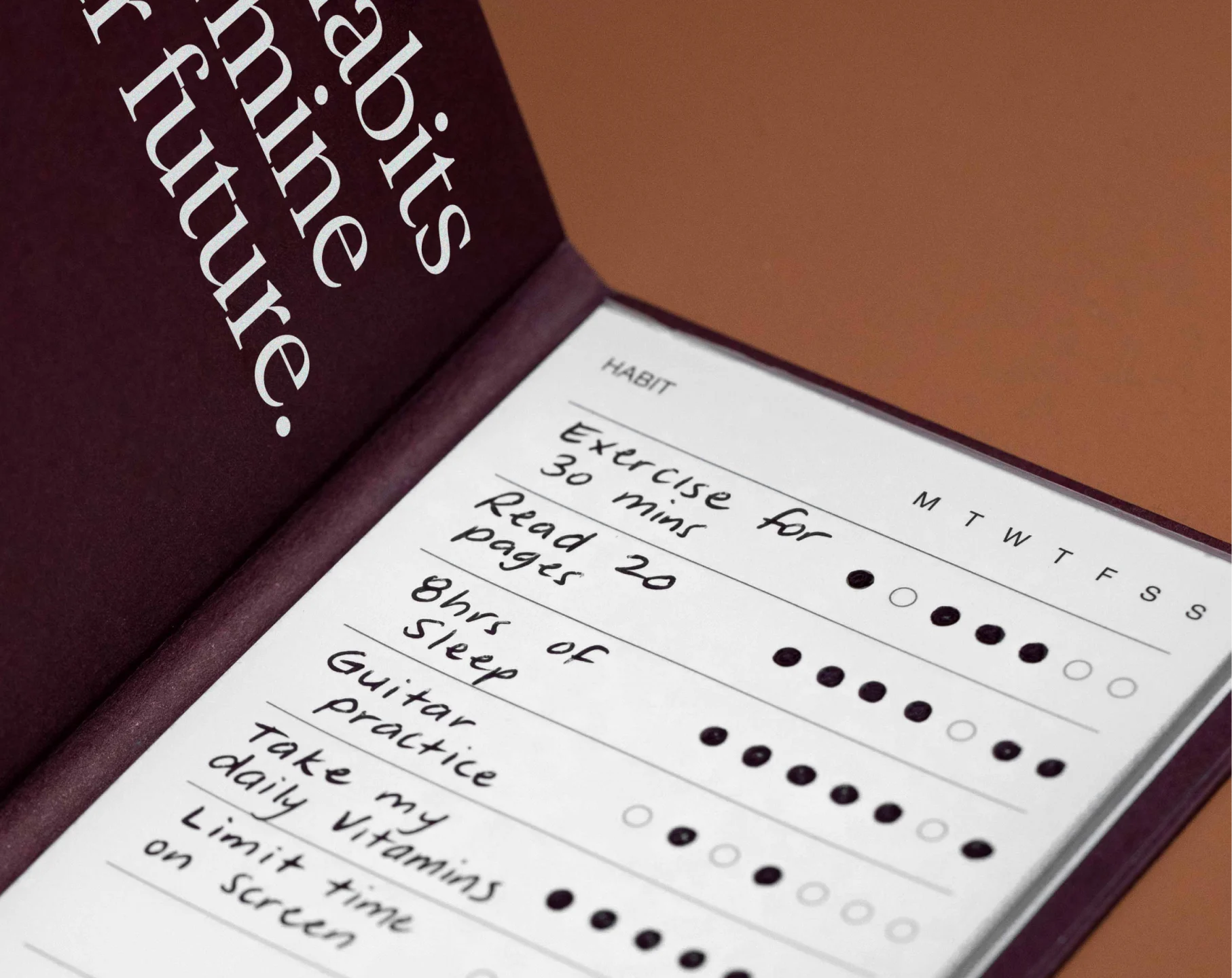 This Habit Tracker teaches you to build 8 habits at once.